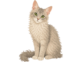 LaPerm Cat