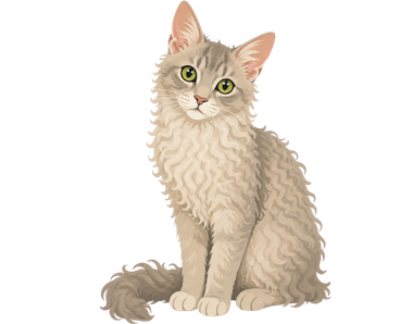 LaPerm Cat – Everything to Know About This Curly-Coated Breed