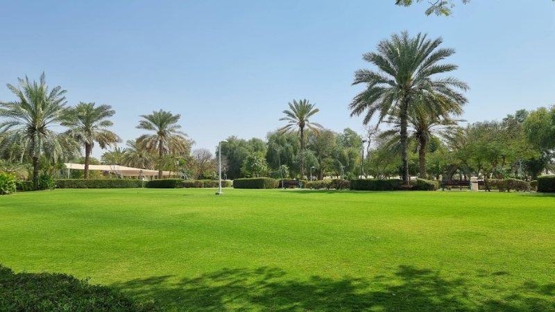 Nad Al Sheba Park lush green landscape with trees and walking paths