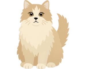 Ragamuffin Cat