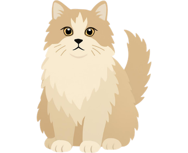 Ragamuffin Cat