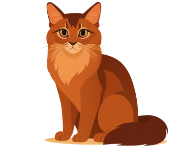 Somali Cat