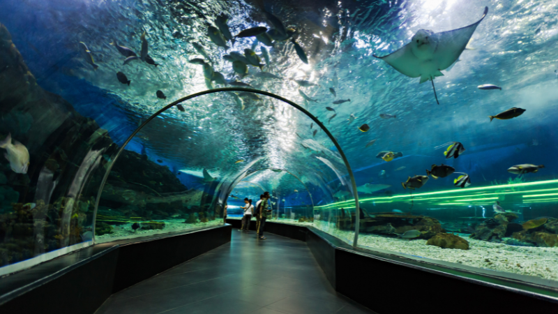 Children watching fish at The Dubai Aquarium & Underwater Zoo