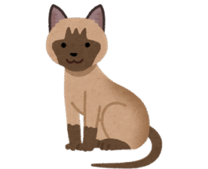 Tonkinese cat