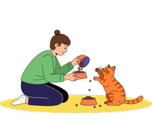 Cat owner feeding their cat according to a consistent daily routine at home.