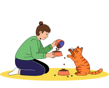 Cat owner feeding their cat according to a consistent daily routine at home.