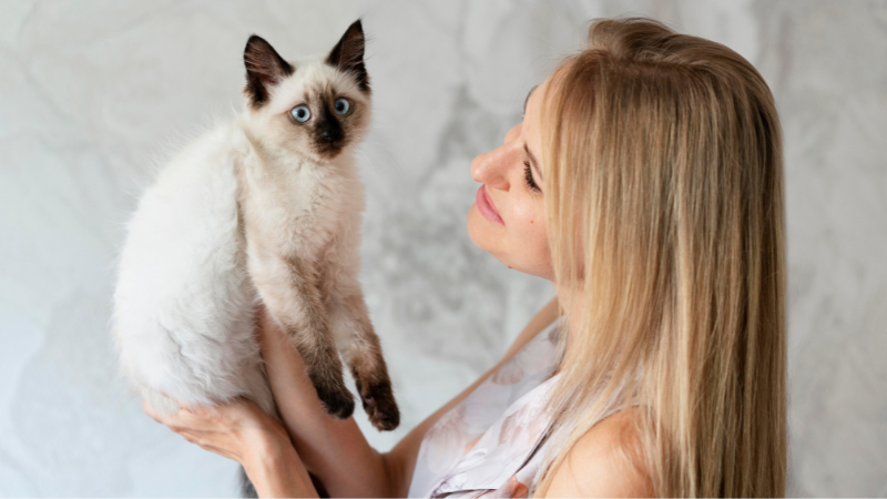 Cat owner holding a pet cat in their hands with love and care.