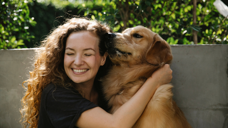 Dog owner lovingly petting their dog in a cozy room at home.