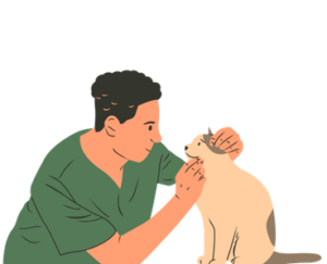 Senior Cat