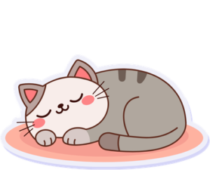 cat sleeping at floor