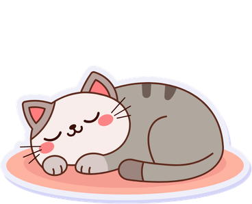 cat sleeping at floor
