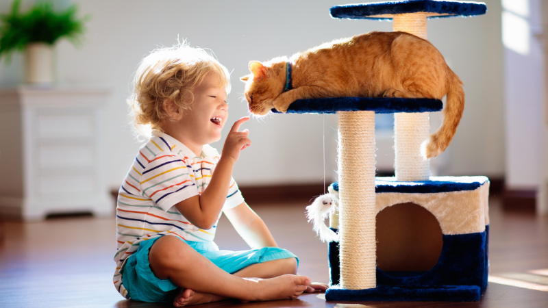 Smiling baby playing with a friendly pet cat together on a cozy living room floor.