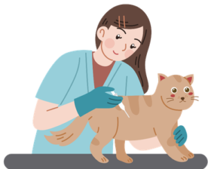 Veterinarian administering an FVRCP vaccine to a cat