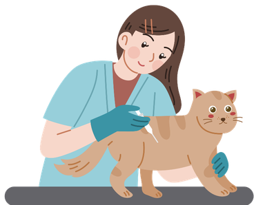 Veterinarian administering an FVRCP vaccine to a cat