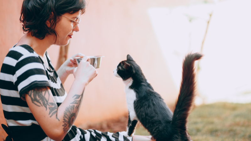 Cat sitter providing daily feeding care for a house cat