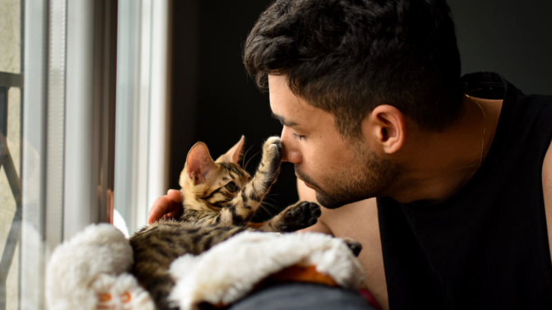 Cat owner cuddling their cat close to their face