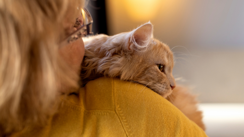 Woman holding her beloved pet cat in her arms at home