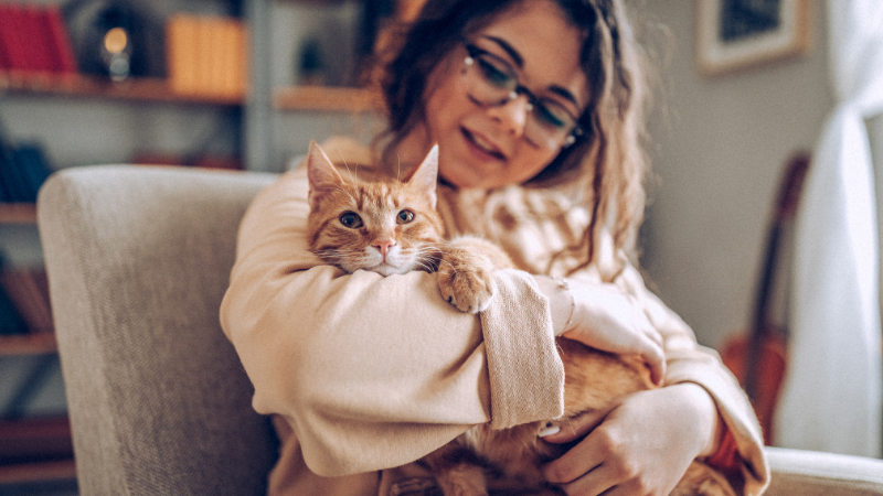 Cat sitter lovingly cuddling a happy pet cat during home care.