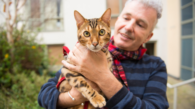 Cat owner cuddling their cat indoors with love and care
