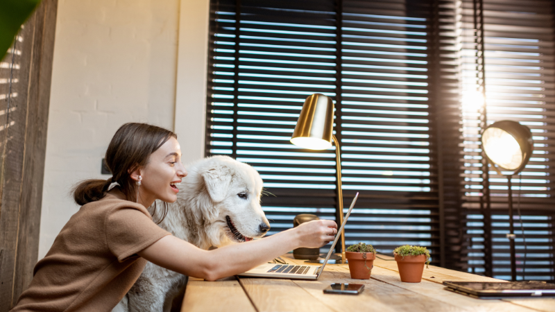 Dog sitter enjoying quality time with a dog at home during pet sitting