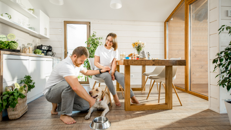 Couple lovingly petting their pet dog at home.
