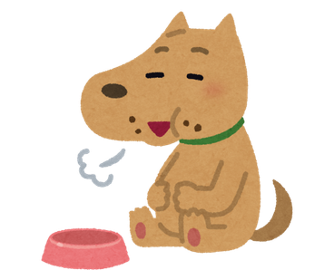 a baby dog eating food