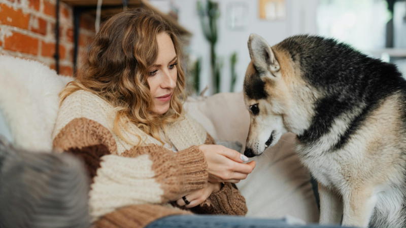 Dog owner sitting with their dog on a comfortable sofa