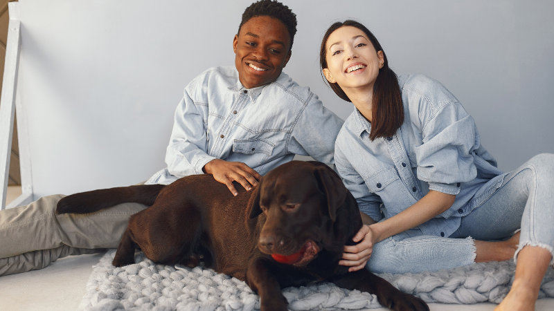 Happy couple sitting on a bed with their beloved dog indoors