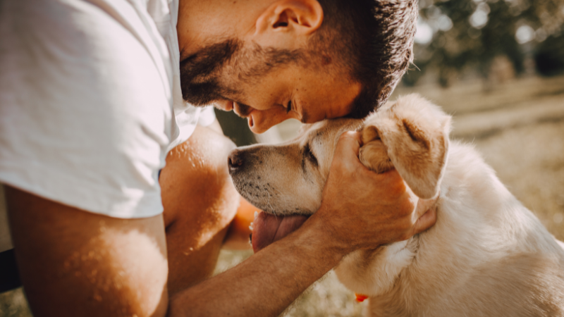 Dog owner lovingly petting their cat indoors at home
