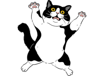 White and black pregnant cat happily jumping indoors.