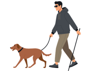 dog walking with owner