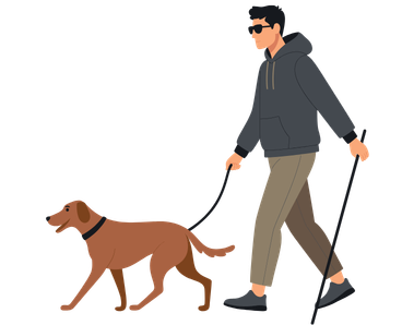dog walking with owner