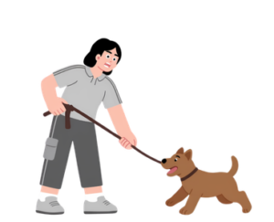 dog waking with owner