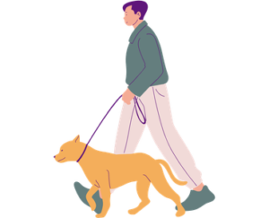 dog walking with owner