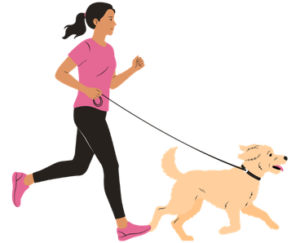 dow walking with professional dog sitter