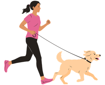 dow walking with professional dog sitter