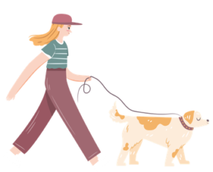 a dog walking with owner