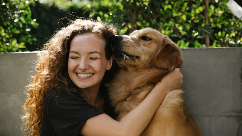 Dog sitting on the owner’s lap outdoors in a relaxed setting