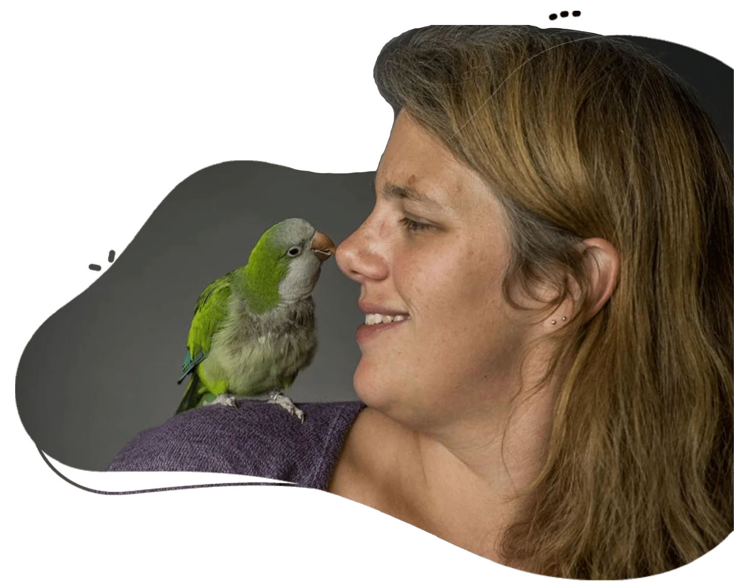 Bird Sitter in Dubai Pet Sitting A Bird while bird boarding session.