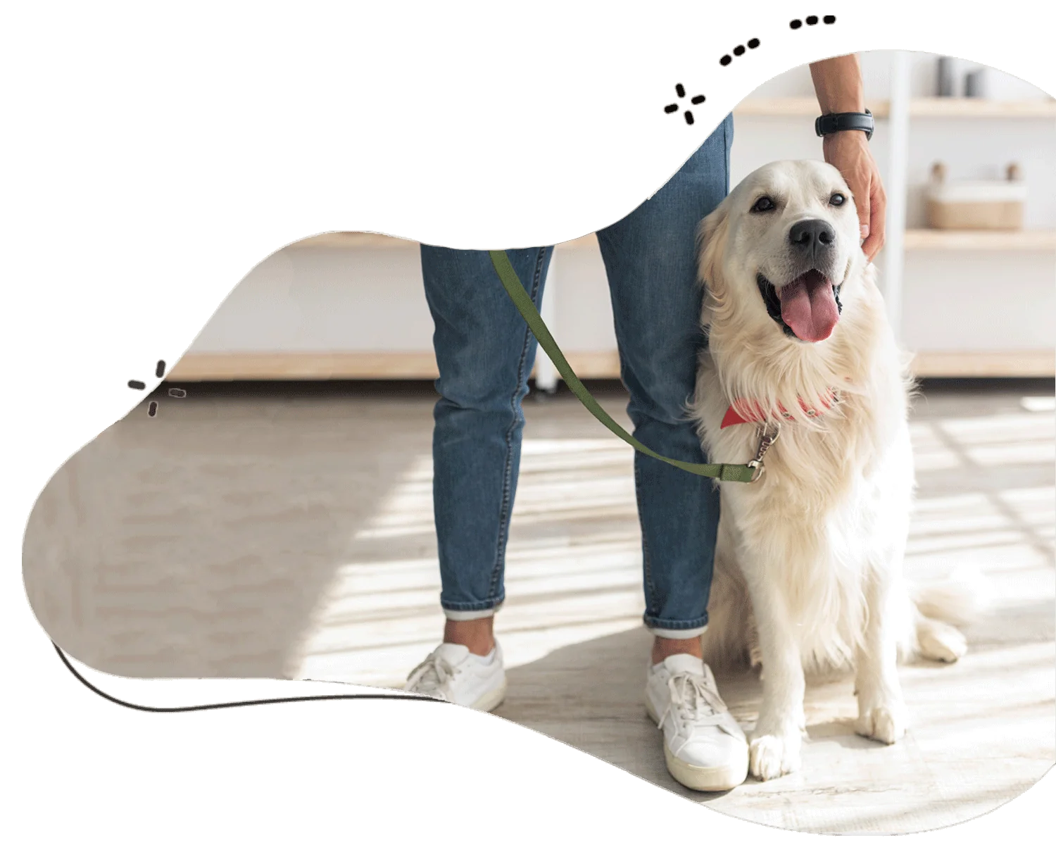 Dog Walking Services From Verified Dog Sitters with Pawland