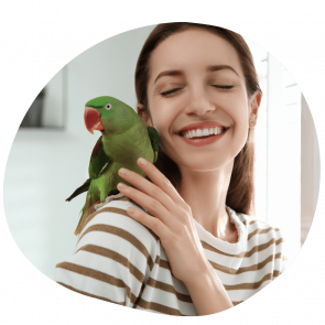 Bird parent wearing a white striped tee after booking pet sitting services in Abu Dhabi Bird parent wearing a white striped tee after booking pet sitting services in Abu Dhabi