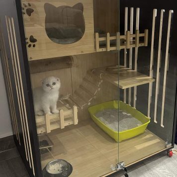 Cat Boarding Facility 2